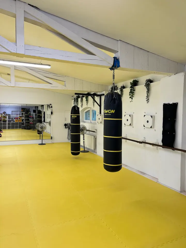 PITT - Praxis-Institut für Systemische Traumaarbeit, Trauma & Sport — Kampfsport in List, Hannover
