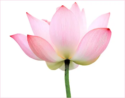 the yogaroot London Borough of Spelthorne — yoga-studio in Egham — 3