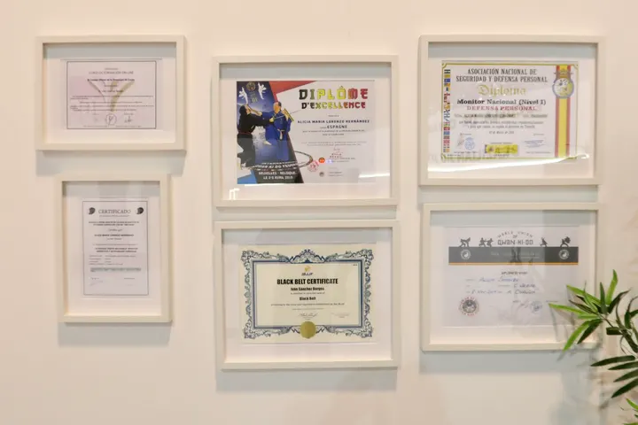 SÁNCHEZ SCHOOL BJJ — artes marciales-studio en La Orotava — 5