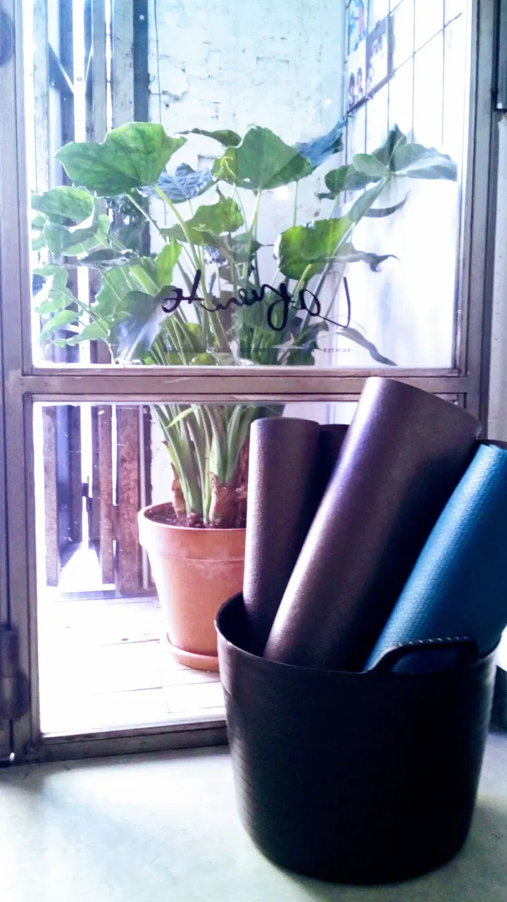 Planetakalimath — yoga-studio en Barcelona — 5