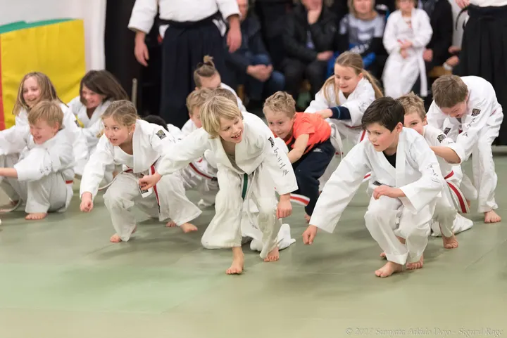Sunyata Aikido Heggedal — kampsport-studio i Homansbyen, Heggedal — 2