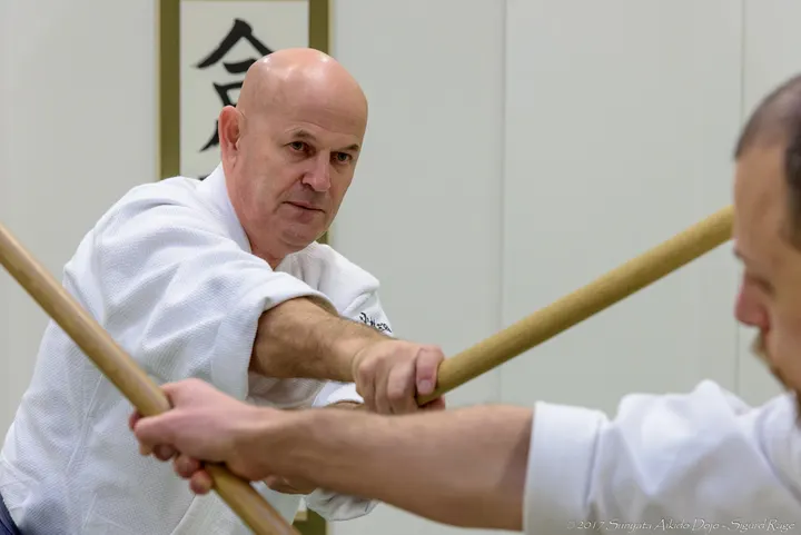 Sunyata Aikido Heggedal — kampsport-studio i Homansbyen, Heggedal — 3