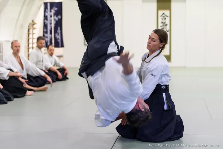 Sunyata Aikido Heggedal — kampsport-studio i Heggedal — 3