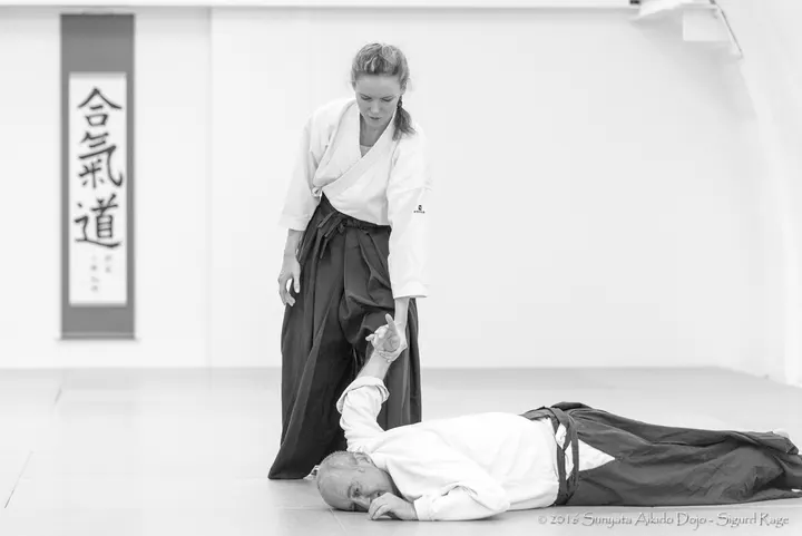 Sunyata Aikido Heggedal — kampsport-studio i Heggedal — 5