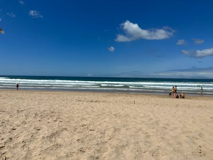West Locals Surf School — Surf em Costa de Caparica
