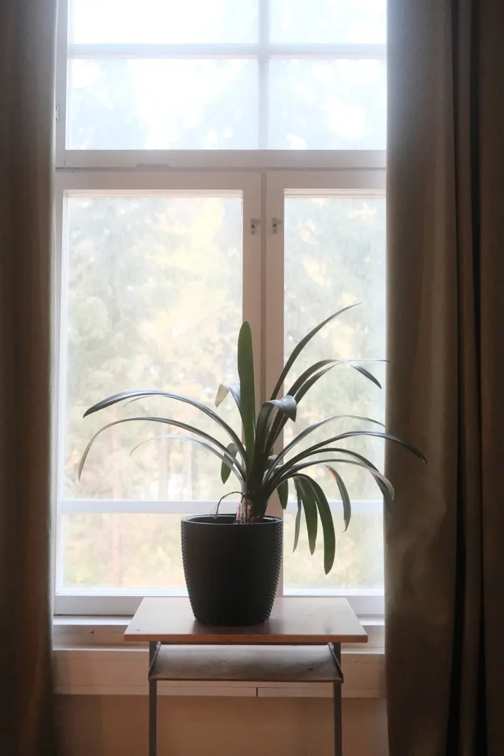Joogamieli — jooga-studio – Ylöjärvi, Tampere — 3