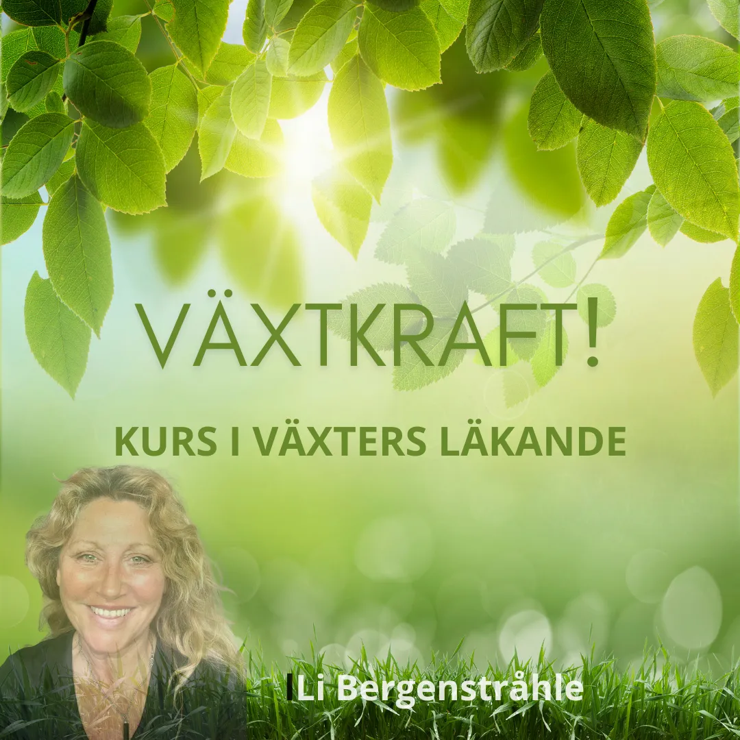 Essense i Kiruna — yoga-studio i Kiruna — bild 2
