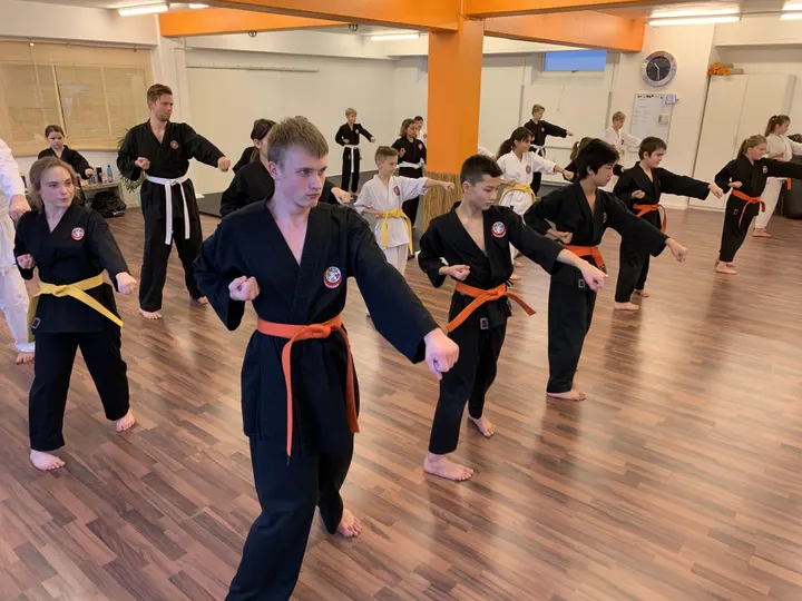 Amanogawa — kampsport-studio i Vinding, Vejle — 3