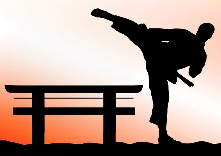 KARATE-DO SHOTOKAI DE SINTRA — artes marciais-studio em Sintra — 3