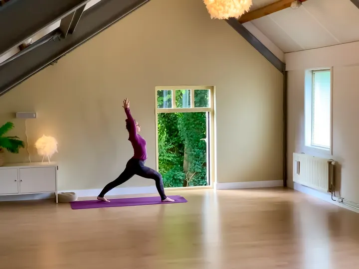 Yogaplaza — Yoga in Oud Delfgauw, Delfgauw