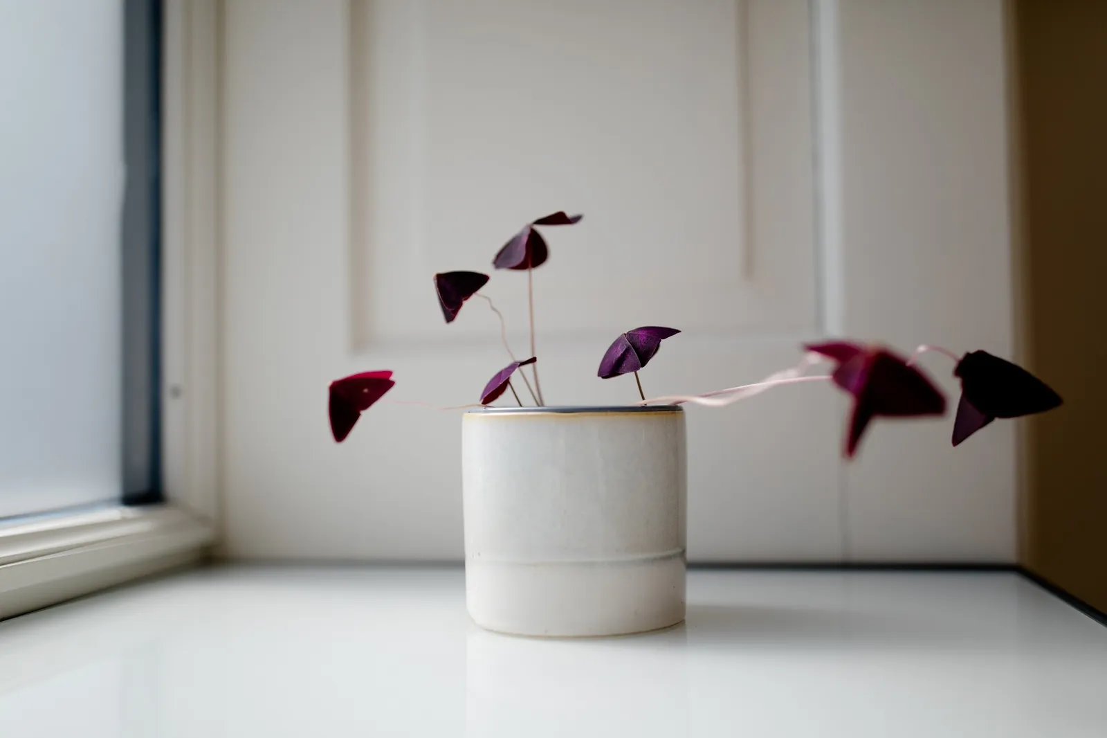 just B. yoga — yoga-studio in München — 6