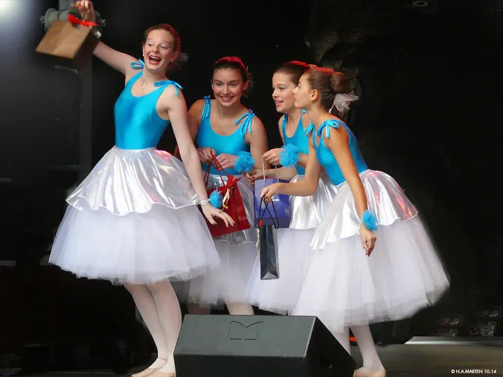 BALLETTSCHULE KRISTINE PAULSEN — tanz-studio in Wiesbaden — 3