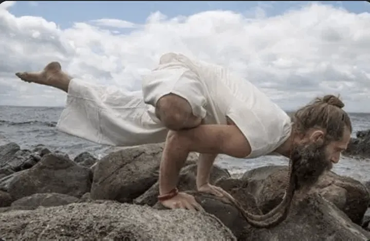 Osadhayah Hatha Yoga — yoga-studio à Coulmiers - Jardin des Plantes, Nantes — 3