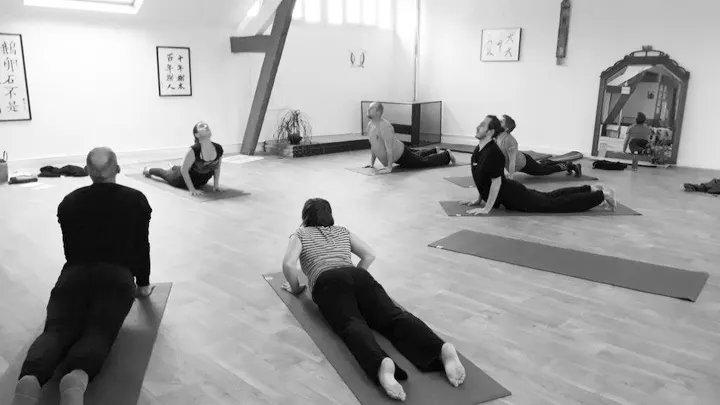 Osadhayah Hatha Yoga — Yoga à Coulmiers - Jardin des Plantes, Nantes