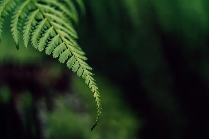 Taiga Energiahoito & Coaching — Meditaatio – Nisula, Jyväskylä