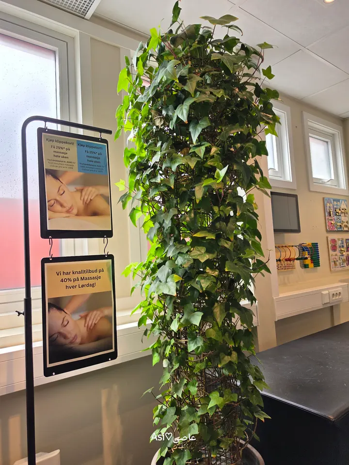 OK Klinikken — pt-studio i Frogner, Oslo — 3