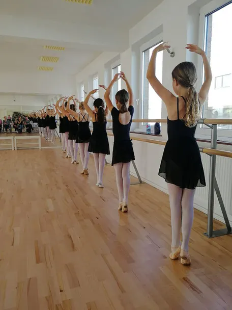 ballettschule janet — Dance in Wülfel, Hannover