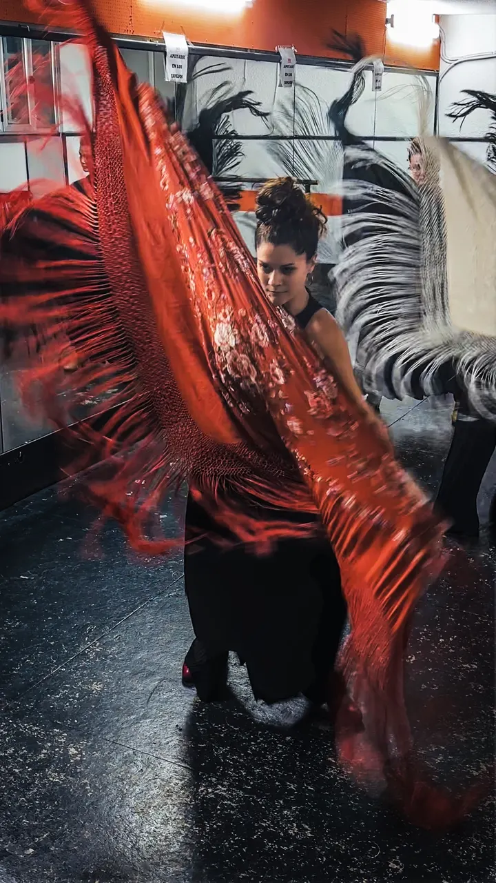 Lalia Escuela de Flamenco — baile-studio en Madrid — 5