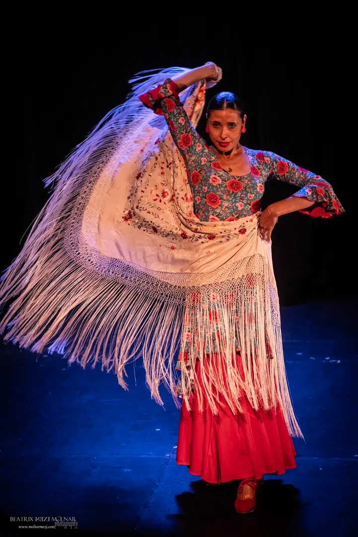 Lalia Escuela de Flamenco — Baile en Embajadores, Madrid