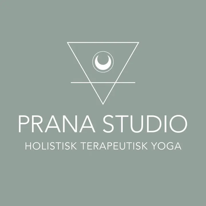 Yama Yoga Cecilie Holtan Akrei — yoga-studio i SANDEFJORD — 3