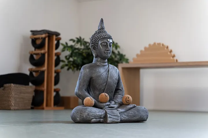 NEURO Somatics — pt-studio in Stadtmitte, Rostock — 3