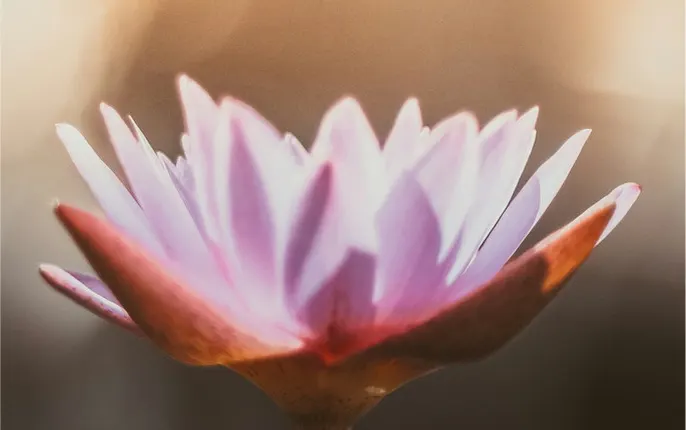 Yoga Studio Shanti — yoga-studio in Hilversum — 2