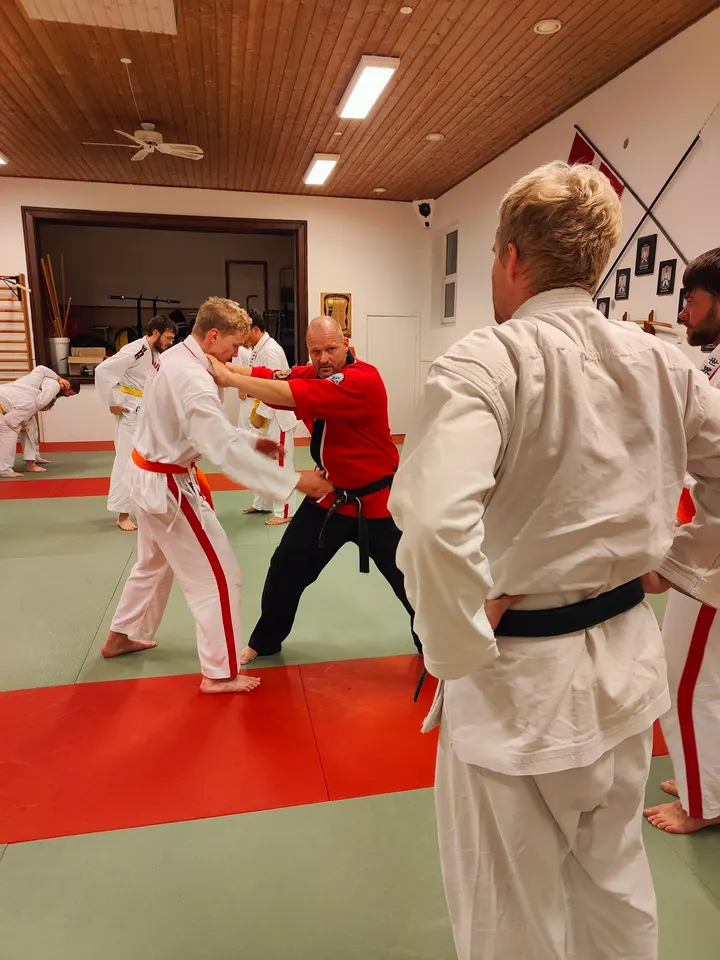Silkeborg Jiu-Jitsu Klub — kampsport-studio i Balle Kirkeby, Silkeborg — 3