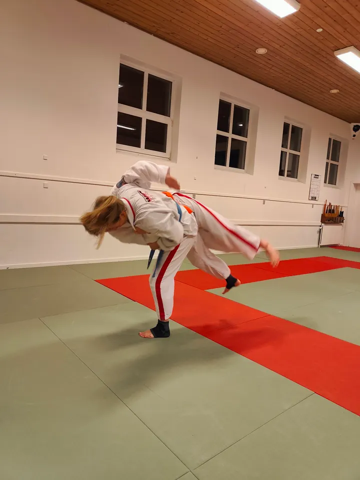 Silkeborg Jiu-Jitsu Klub — Kampsport i Balle Kirkeby, Silkeborg
