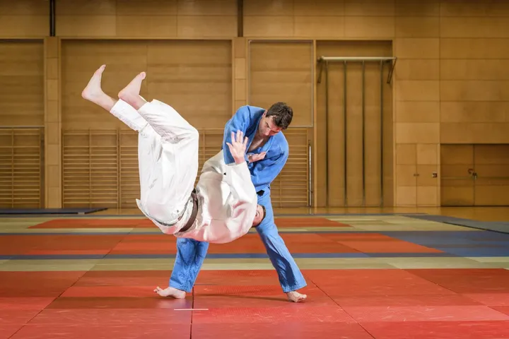 ipponjudo.pt — Artes marciais em Aveiro