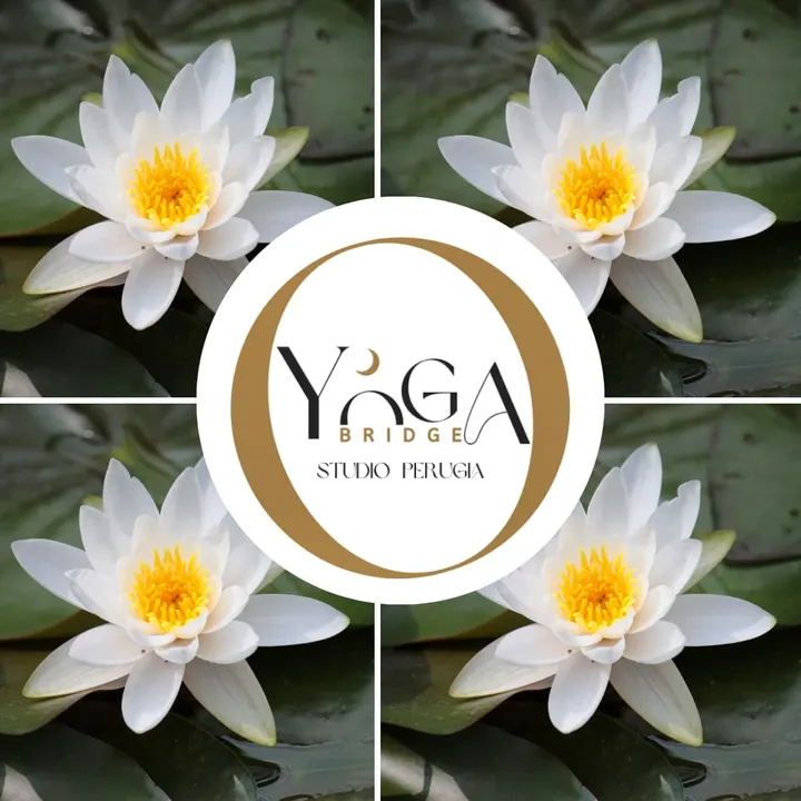 Yoga Bridge Studio Perugia — yoga-studio a Perugia — 4