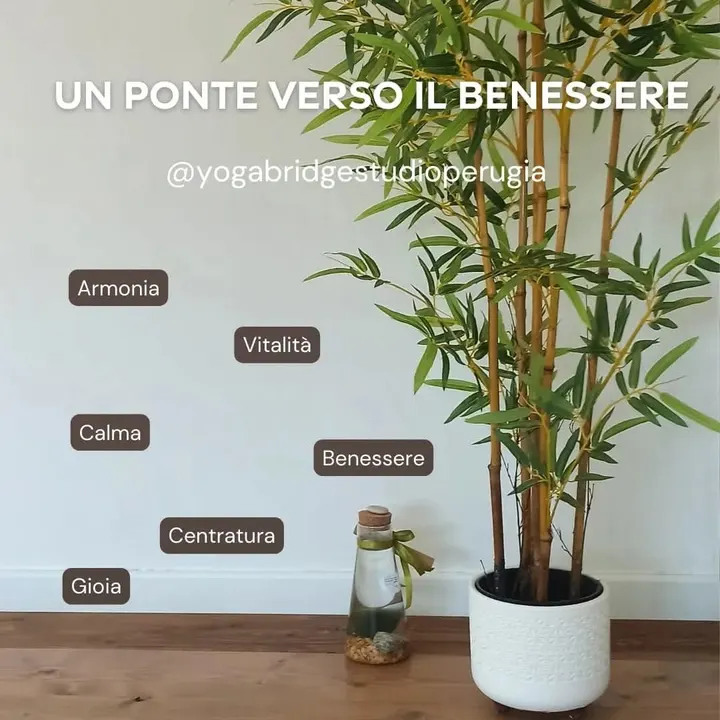 Yoga Bridge Studio Perugia — Yoga a Perugia