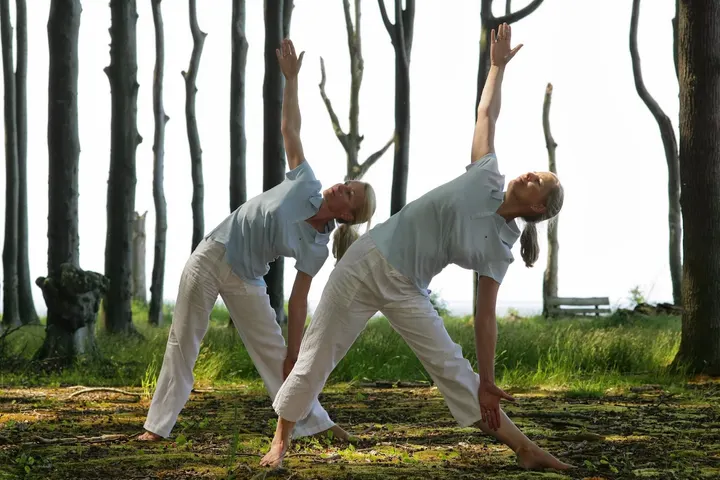 Artemedii Yogaschule und Heilpraxis — Yoga in Ortsbeirat 1 : Diedrichshagen, Seebad Warnemünde, Rostock