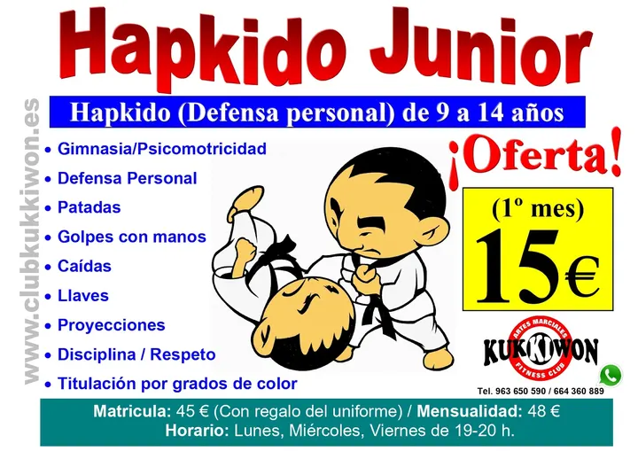 Club Kukkiwon (Martial Arts & Fitness Club) — artes marciales-studio en Valencia — 3