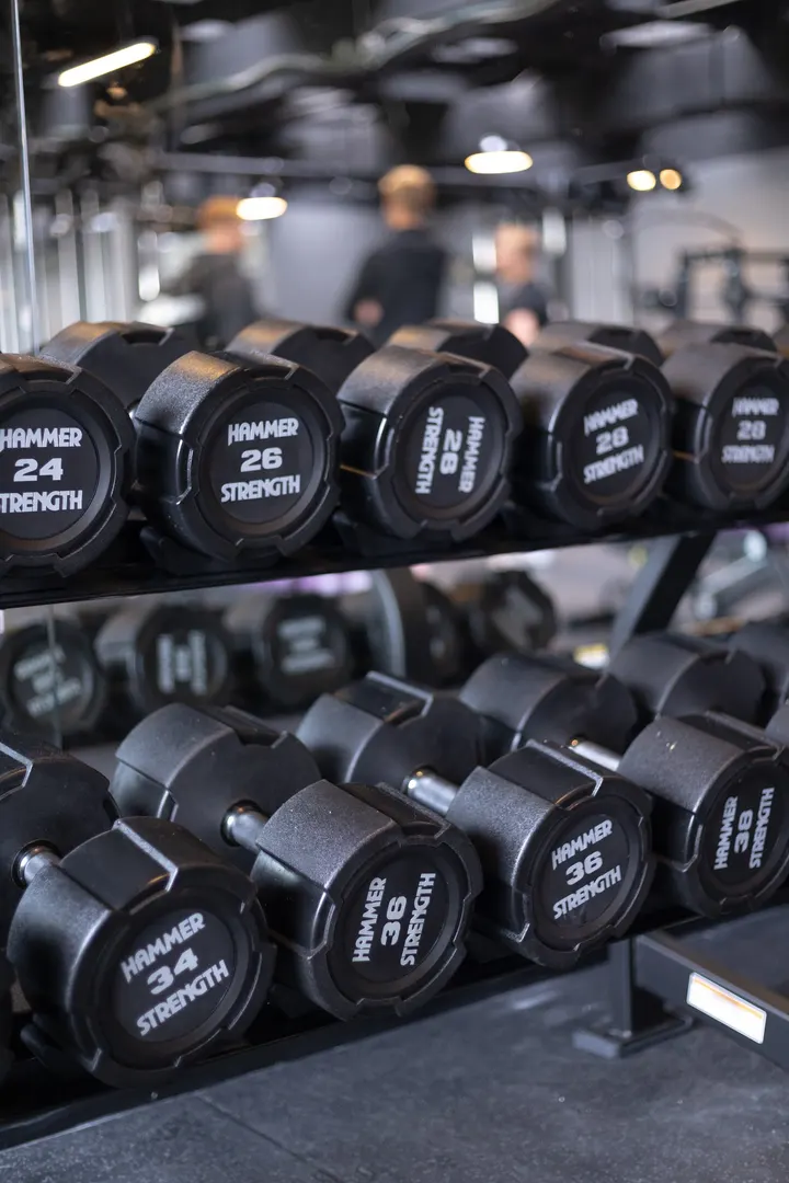 Silverback Sportsgym & Fysioterapi Søborg — træningsstudio i Søborg, København — 2