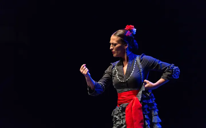 Centro De Danza La Milana Clases De Flamenco Baile Moderno Y Ballet. — Baile en Balcones del Mar, Estepona