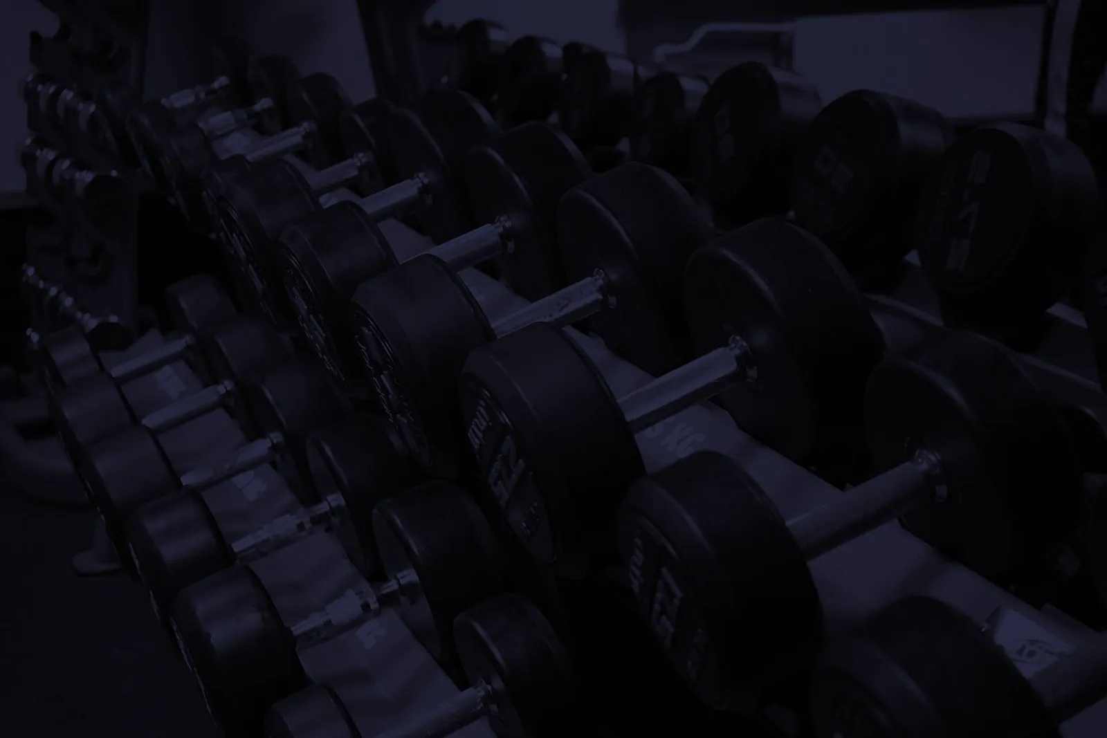Fiitzone Ltd — hiit-studio in Queen's Park, Brighton — 2
