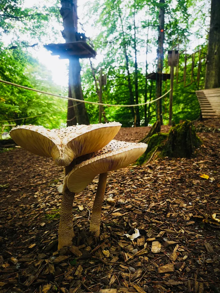Kletterpark Stuttgart Schmellbachtal — klettern-studio in Leinfelden-Echterdingen, Stuttgart — 3