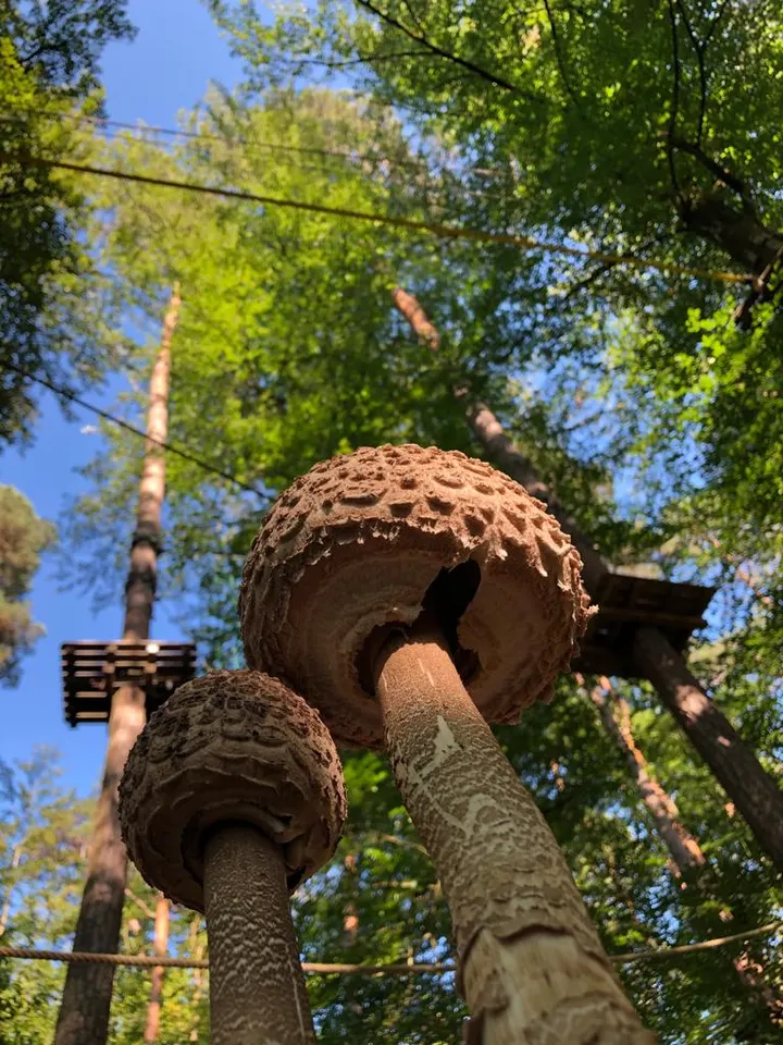 Kletterpark Stuttgart Schmellbachtal — klettern-studio in Stuttgart — 5