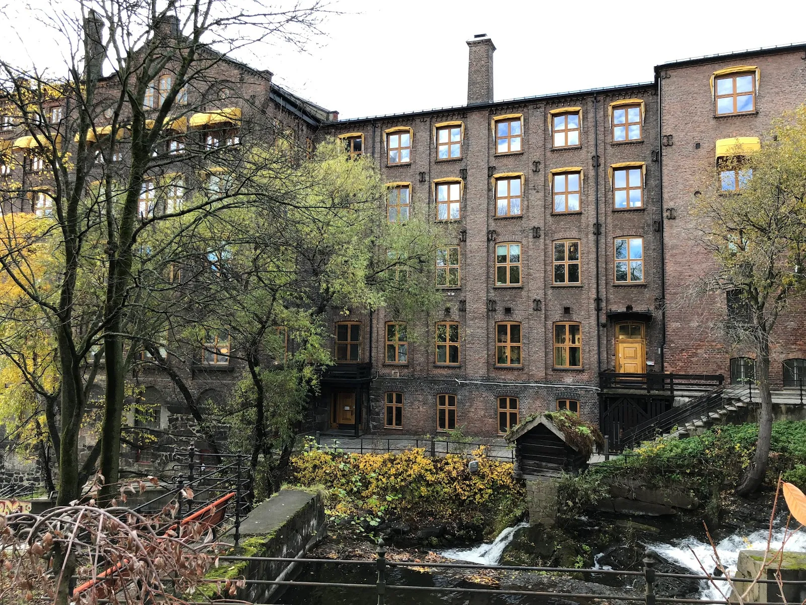 Sagene Squash & Fitness — treningsstudio i Sagene, Oslo — 3