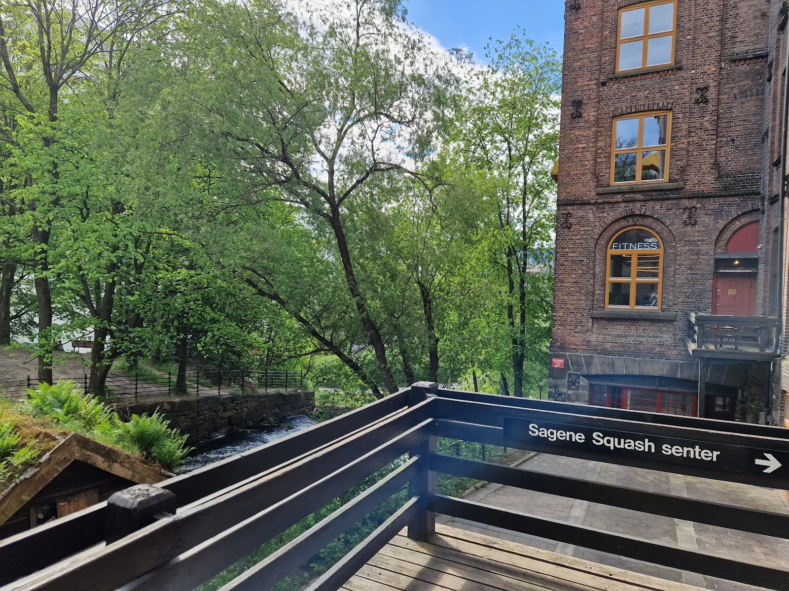 Sagene Squash & Fitness — treningsstudio i Oslo — 4