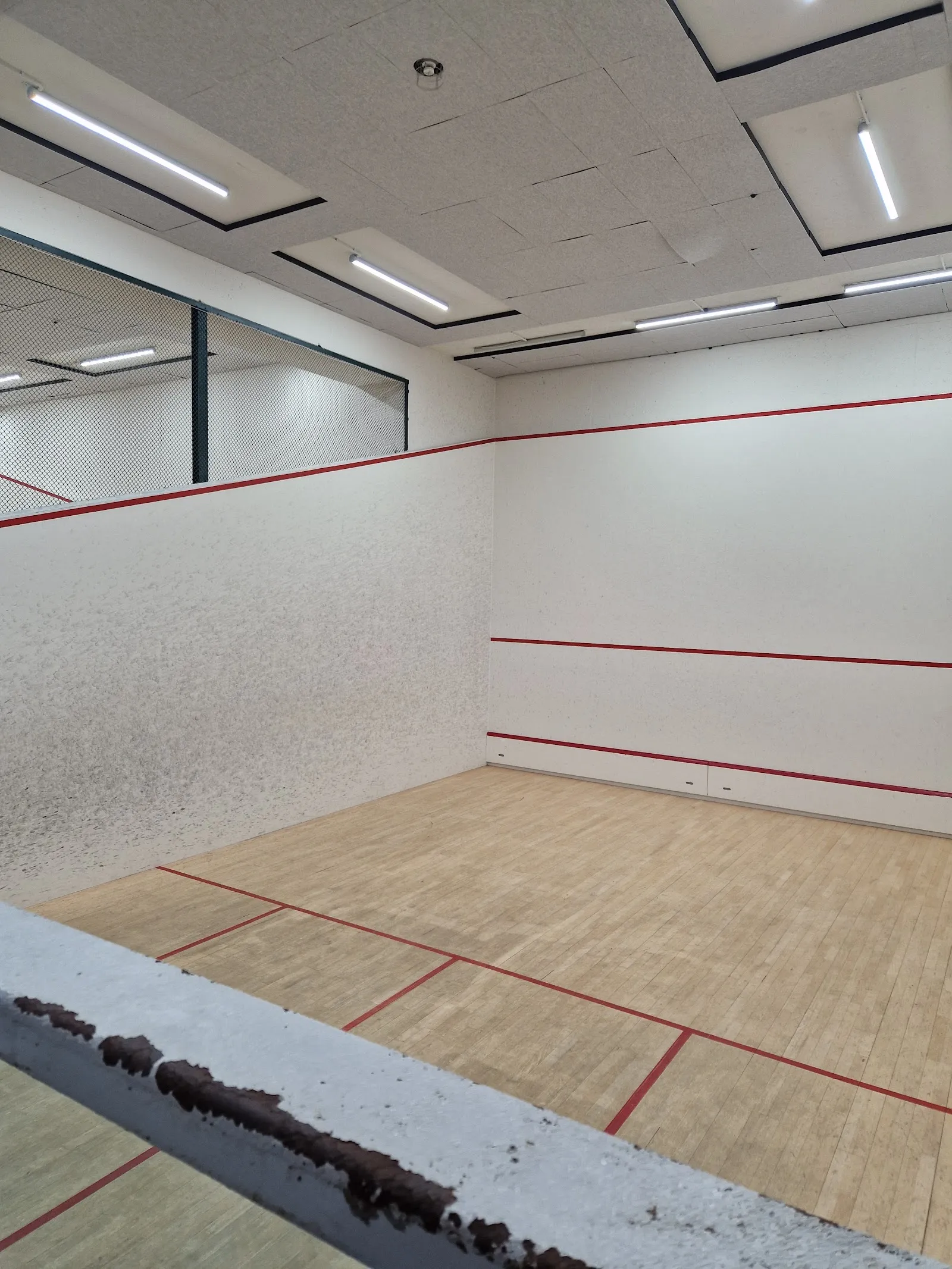 Sagene Squash & Fitness — treningsstudio i Oslo — 5