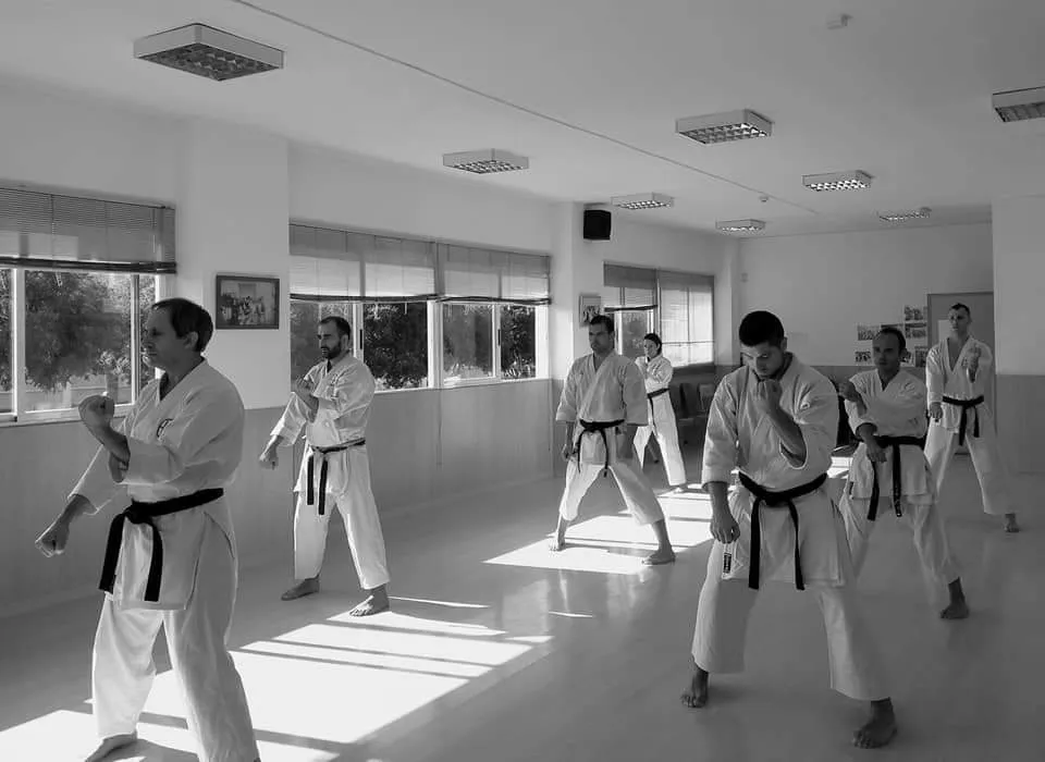 Karate takeshi castellon — artes marciales-studio en Castelló de la Plana — 2