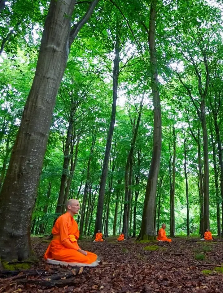 Wat Phra Dhammakaya Borås — meditation-studio i Sjögården, Borås