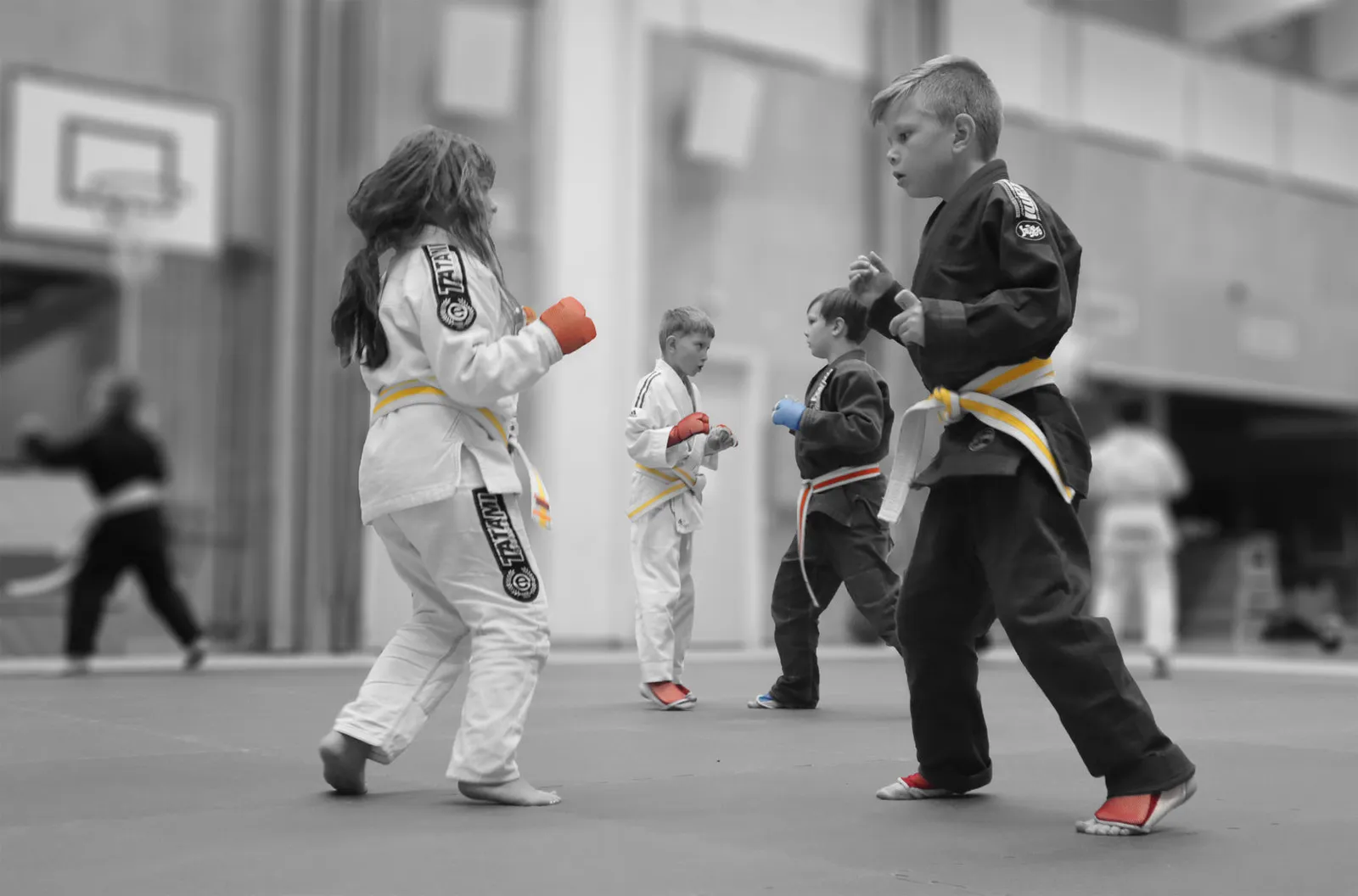 Karlstad Kampsportsförening Dojo — kampsport-studio i Karlstad — 3
