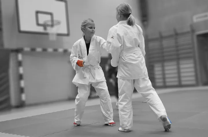 Karlstad Kampsportsförening Dojo — kampsport-studio i Södra Kroppkärr, Karlstad — 3