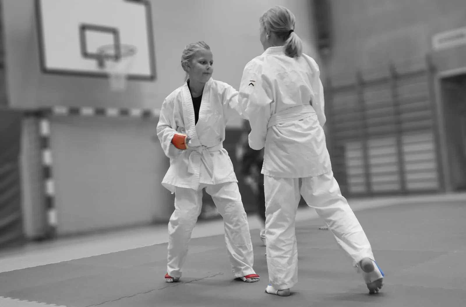 Karlstad Kampsportsförening Dojo — kampsport-studio i Karlstad — 3