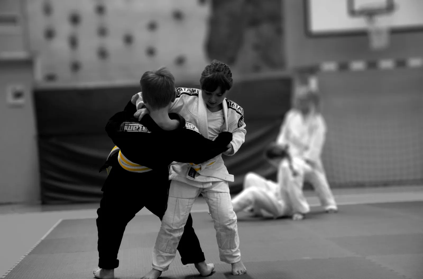 Karlstad Kampsportsförening Dojo — kampsport-studio i Karlstad — 4