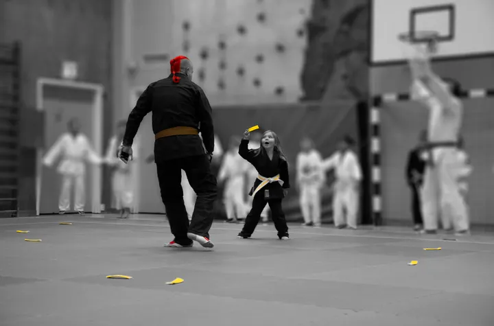 Karlstad Kampsportsförening Dojo — kampsport-studio i Karlstad — 5