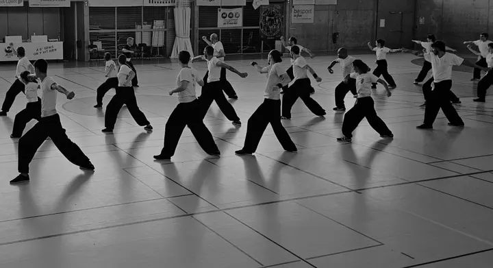 ICAM-Lyon Kung Fu — arts martiaux-studio à Gerland, Lyon — 2