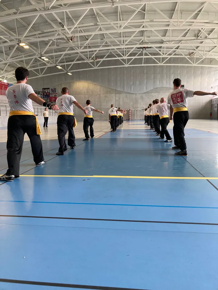 ICAM-Lyon Kung Fu — Arts martiaux à Gerland, Lyon